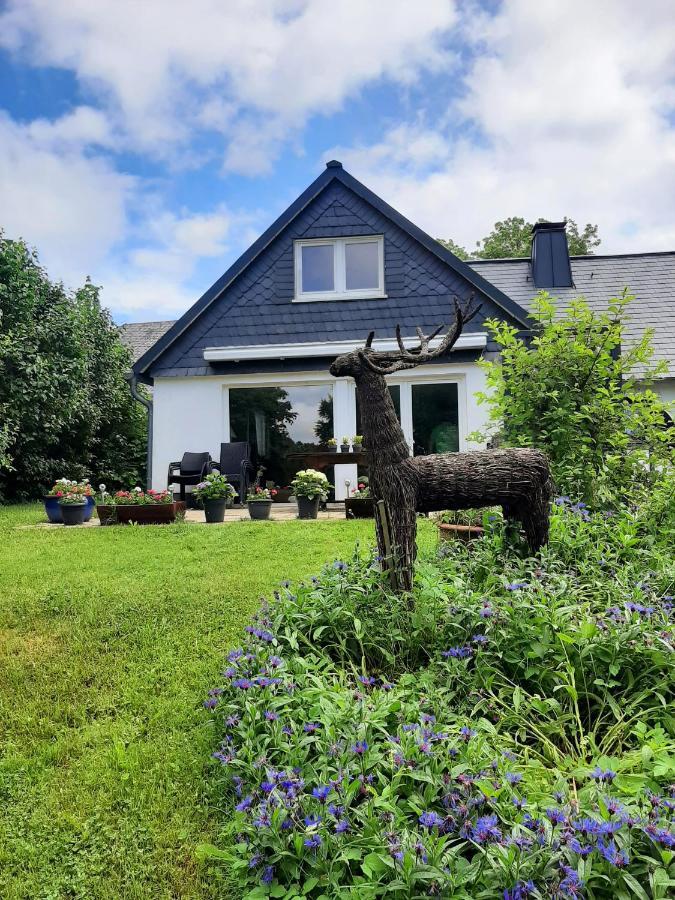 Villa Skylo Winterberg Dış mekan fotoğraf