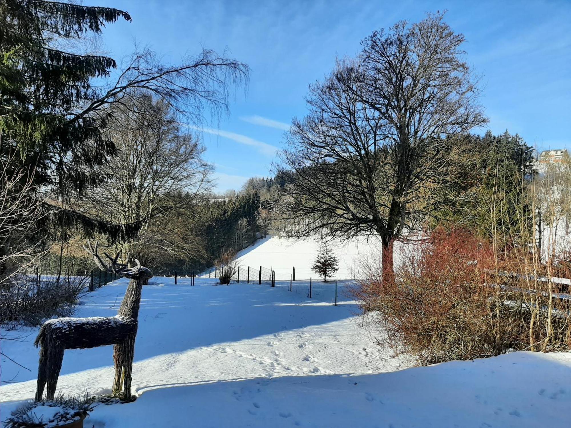 Villa Skylo Winterberg Oda fotoğraf